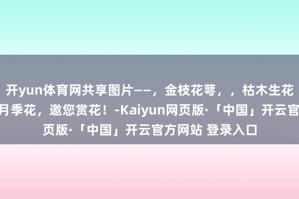 开yun体育网共享图片——,金枝花萼,,枯木生花,,花攒锦聚的月季花,邀您赏花!-Kaiyun网页版·「中国」开云官方网站 登录入口