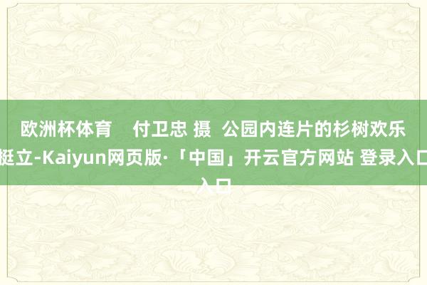 欧洲杯体育    付卫忠 摄  公园内连片的杉树欢乐挺立-Kaiyun网页版·「中国」开云官方网站 登录入口